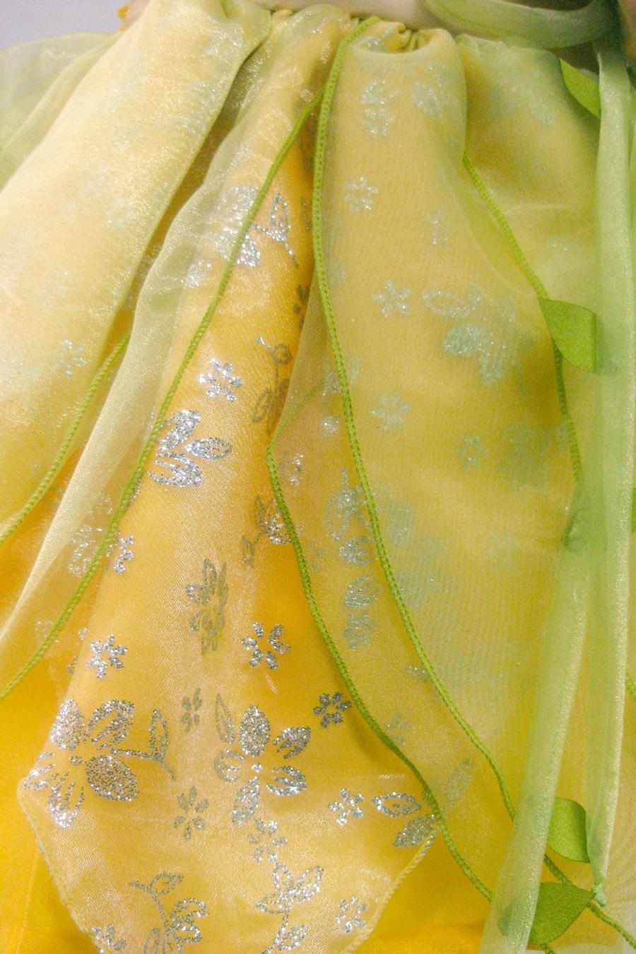 princess Tiana dress fabric texture